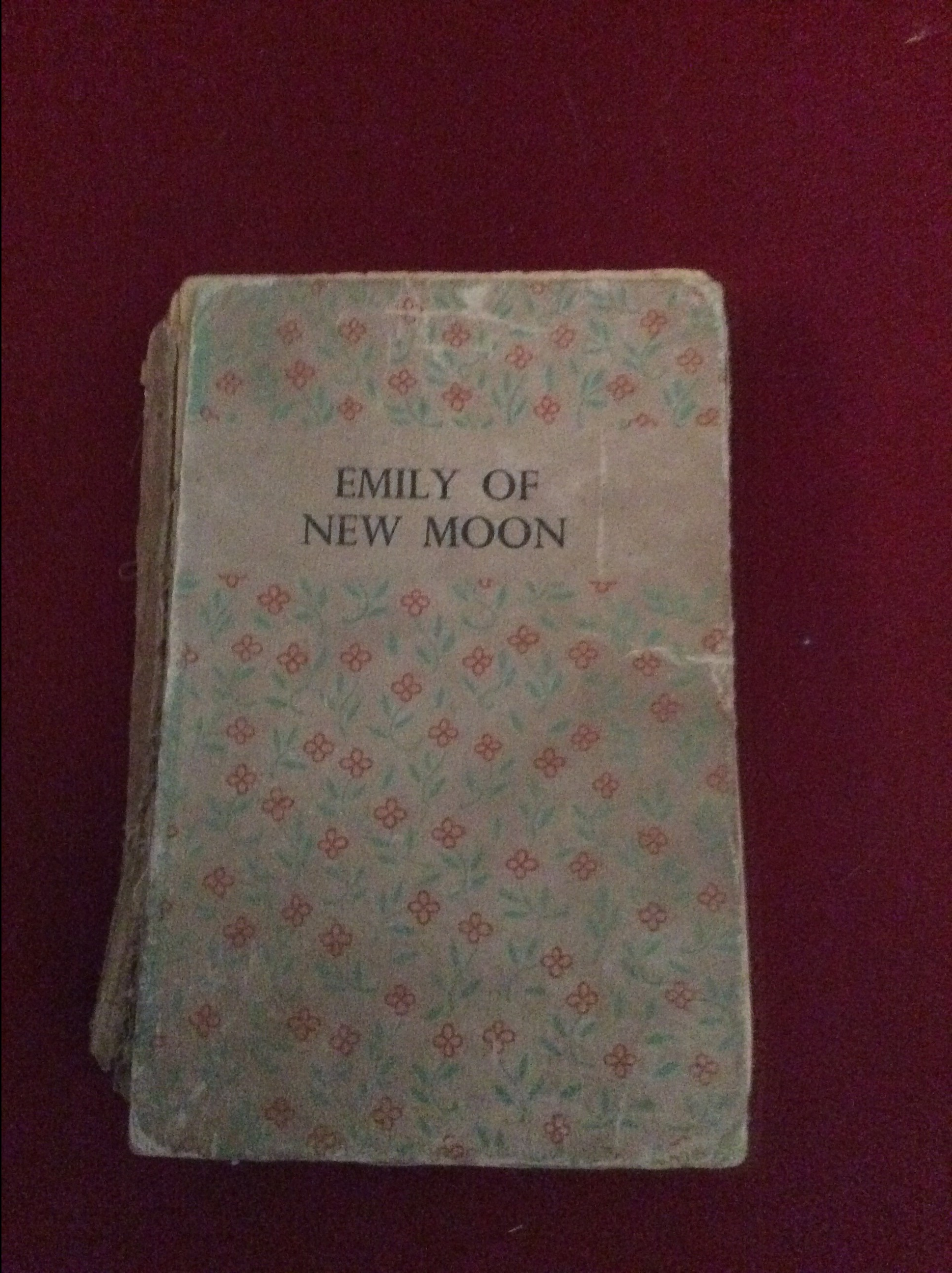 F7FE6353-B254-4BA5-A0D5-6F5D6979C191